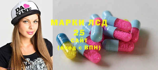 PSILOCYBIN Богданович