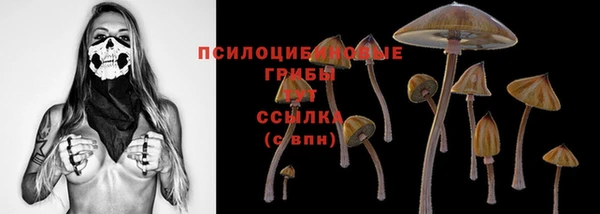винт Бугульма