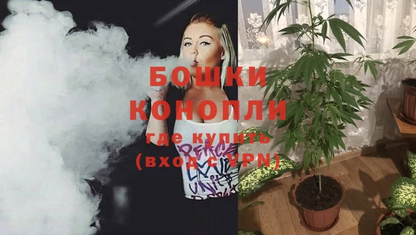 мет Бородино