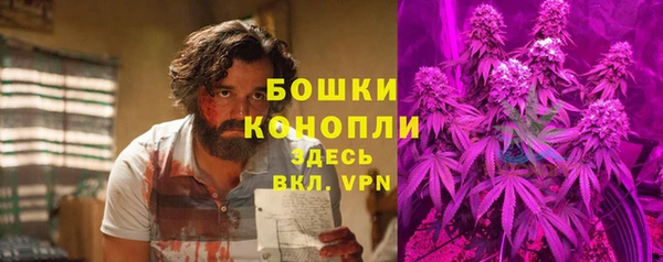 твердый Богородицк