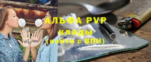 мет Бородино